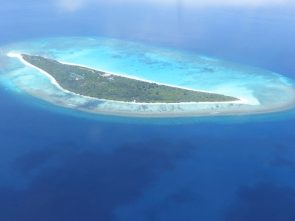 Hondaafushi