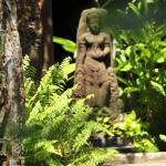 Spa & Wellness Pondok Sari