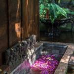 Spa & Wellness Pondok Sari