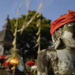 Culture and Tradition