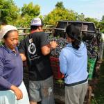 Balinese people