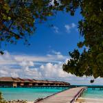 Medhufushi Water Bungalows