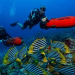 Medhufushi Scooter Dive