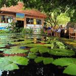 Dive Center Pondok Sari