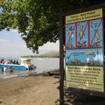 Dive Center Pondok Sari