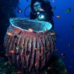 Underwater