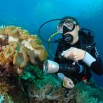 Underwater