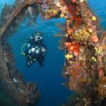 Japanese Wreck