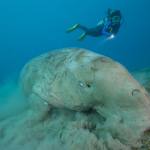 Red Sea Underwater