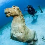 Underwater life Cyprus