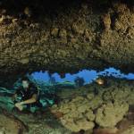 Underwater life Cyprus