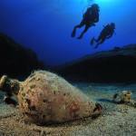 Underwater life Cyprus
