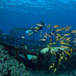 Wreck Diving