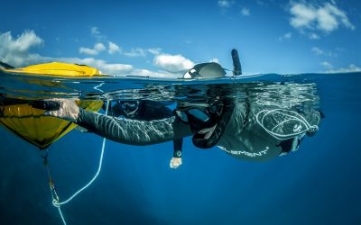 ber002115_below_surface_tobias_friedrich_20160703_mg_7994