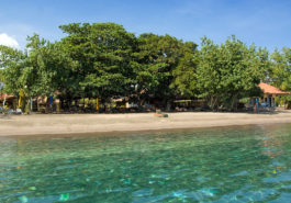 ber001508_beach-1