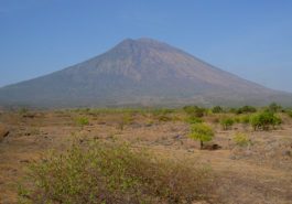 ber001726_agung-4