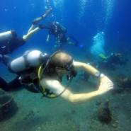 Family Diving