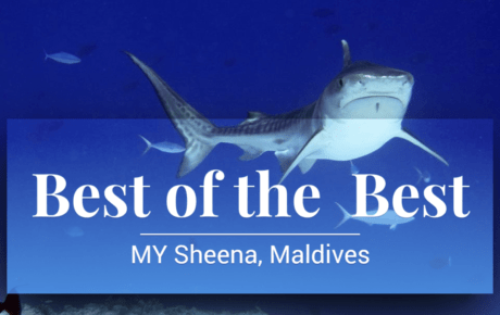 The Best of the Best Maldives 2020