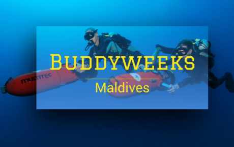 Buddyweeks Maldives 2024