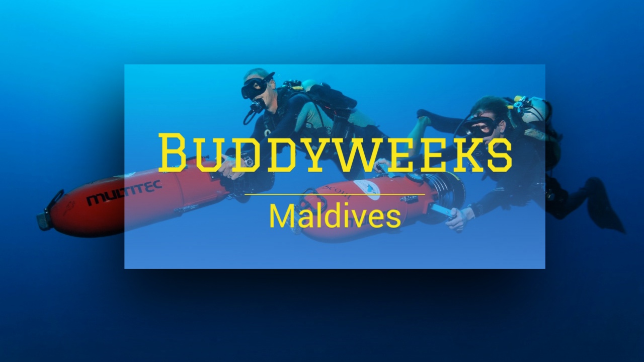 Buddyweeks Malediven 2024 - Werner Lau Diving Centers