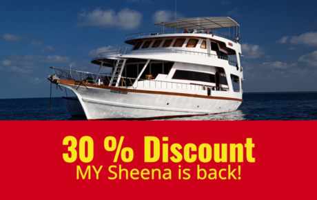 MY Sheena fährt wieder inkl. 30% Discount