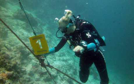 Housereef maintenance